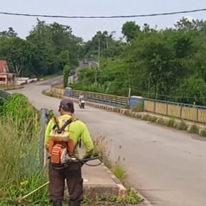 DLH: Tebas Rumput Liar, Jaga Keasrian Lingkungan Jalan Fatmawati